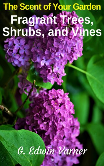The Scent Of Your Garden: Fragrant Trees, Shrubs, and Vines