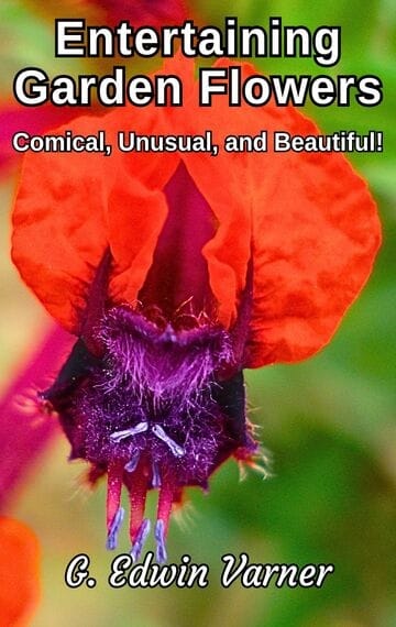 Entertaining Garden Flowers: Comical, Unusual, and Beautiful!