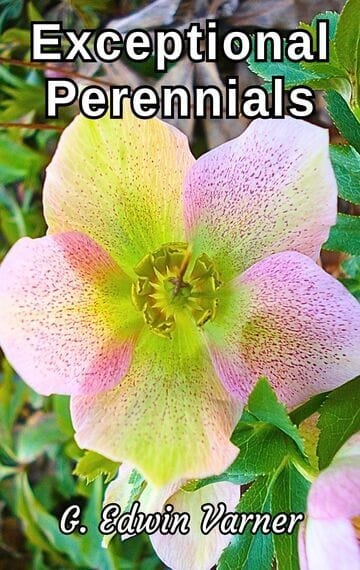 Exceptional Perennials