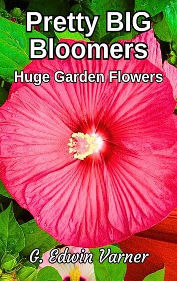 Pretty BIG Bloomers: Huge Garden Flowers
