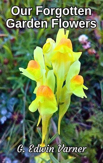 Our Forgotten Garden Flowers